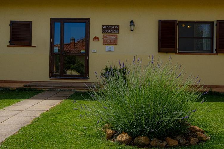 Agriturismo La Fata Grosseto Eksteriør billede