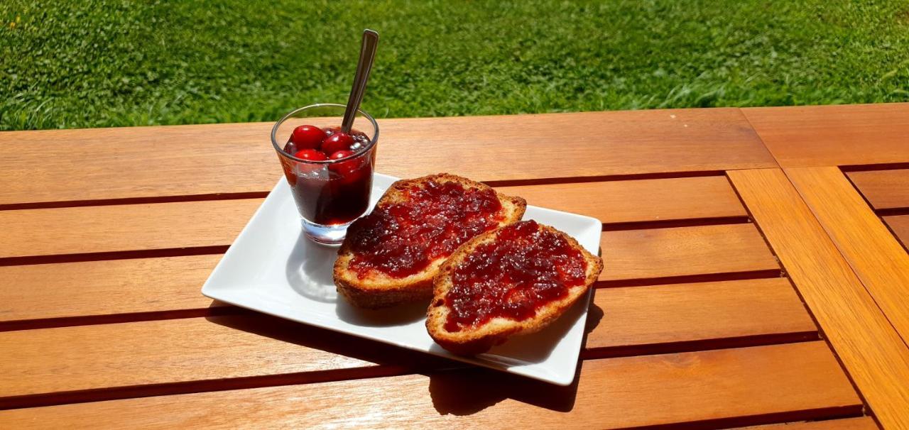 Agriturismo La Fata Grosseto Eksteriør billede